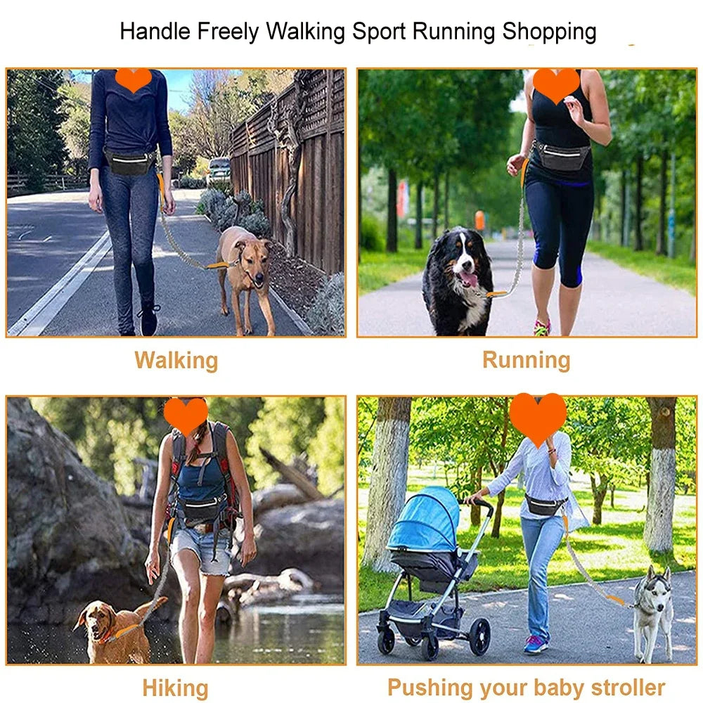  $ images sowing 4 womens  with their dogs using Hands-Free Reflective Dog Running Leash