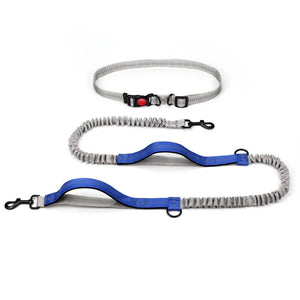 Blue Hands-Free Dog Leash2