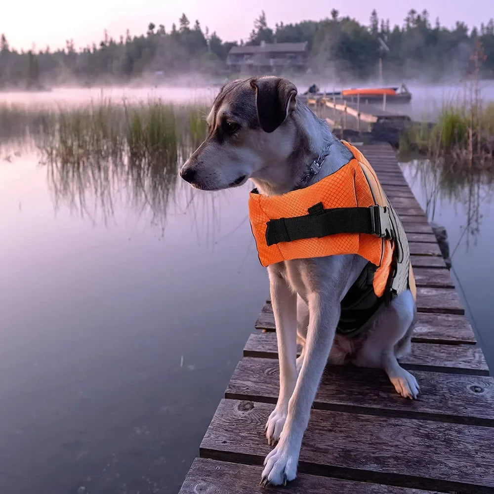 a dog wearing a orange Adjustable Reflective Dog Life Jacket in water