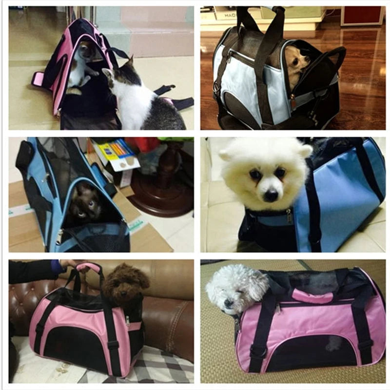 Portable Mesh Cat & Dog Carrier Bag – Foldable Travel Handbag - Pet Oasis