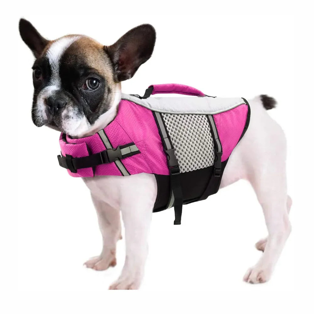 a dog wearing a Pink Adjustable Reflective Dog Life Jacket in water