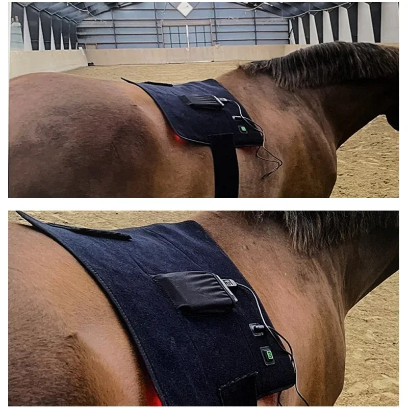 Portable Infrared Light Therapy – Pain Relief for Pets & Horses - Pet Oasis