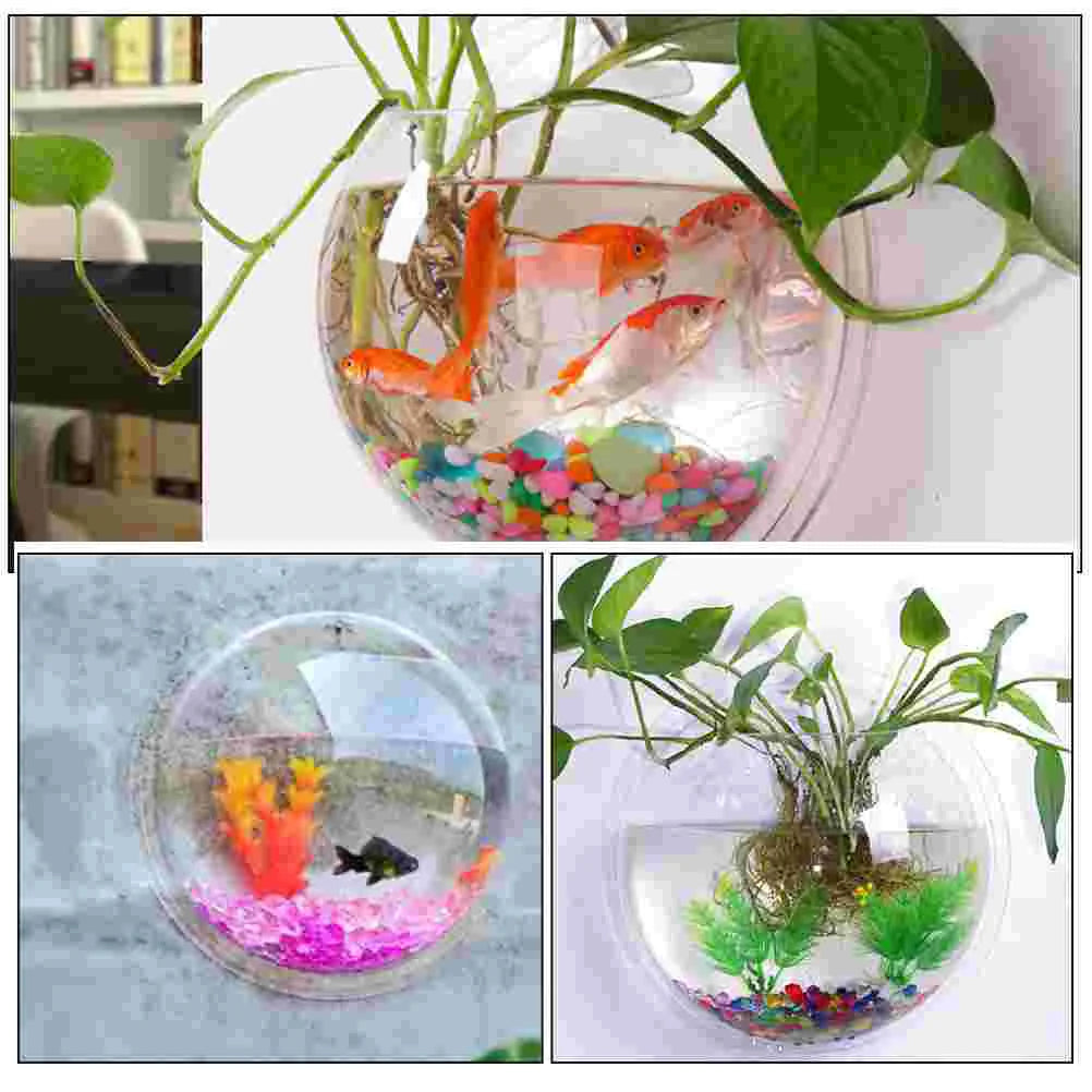 3D Wall-Mounted Acrylic Fish Bowl & Plant Vase – Home Decor - Pet Oasis