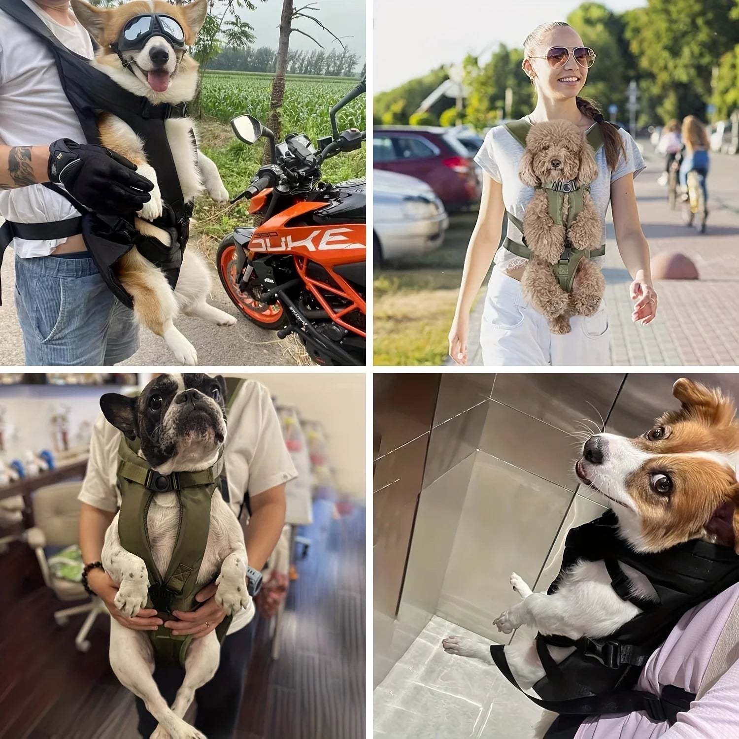 Hands-Free Dog Carrier Backpack for Small & Medium Dogs - Pet Oasis