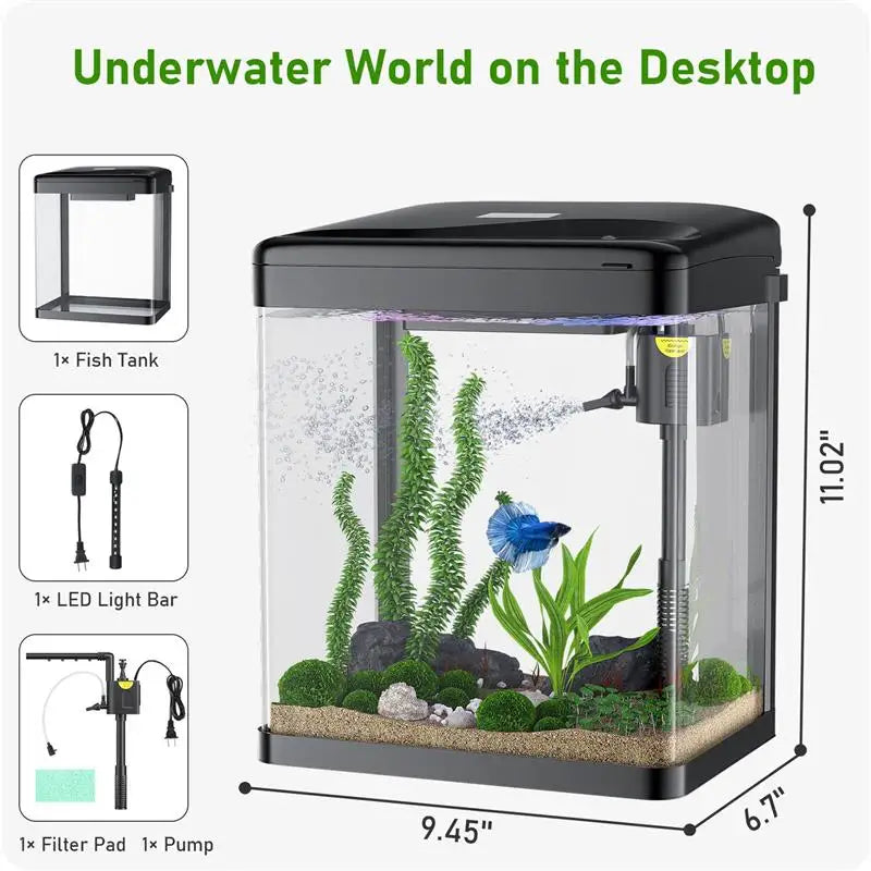 2-Gallon Glass Aquarium with Filter & Light – Perfect for Betta, Shrimp, Goldfish - Pet Oasis