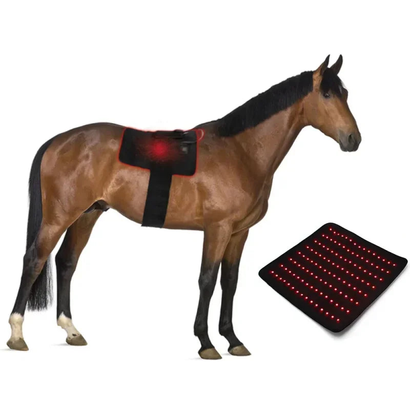 Portable Infrared Light Therapy – Pain Relief for Pets & Horses - Pet Oasis