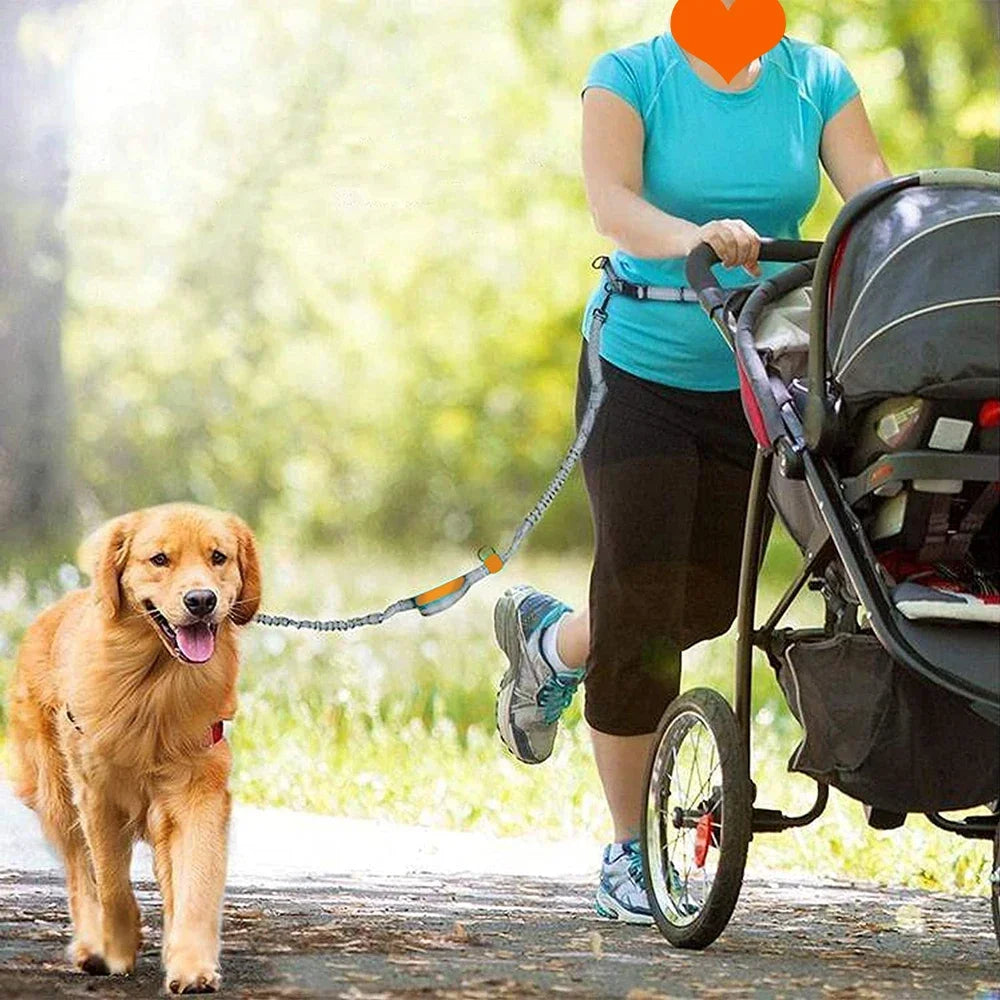 a women walking with dog using Hands-Free Reflective Dog Running Leash