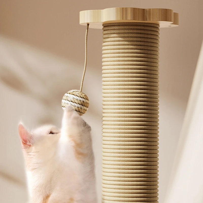 Cat playin with Sisal Cat Scratching Post